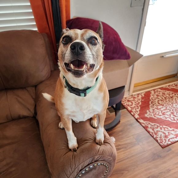 Meet your Posher, Jenny A.K.A GothMama 😘💜🦇 - Picture 10 of 16